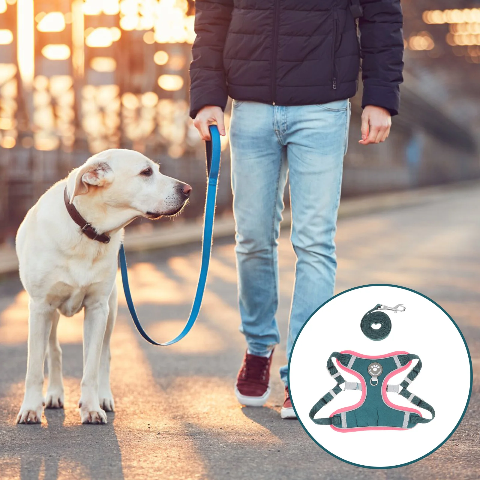 

Шлейка-жилет для собак, нагрудный комплект для прогулок с щенками, светоотражающая леска, костюм для бега с длинным воротником, одежда