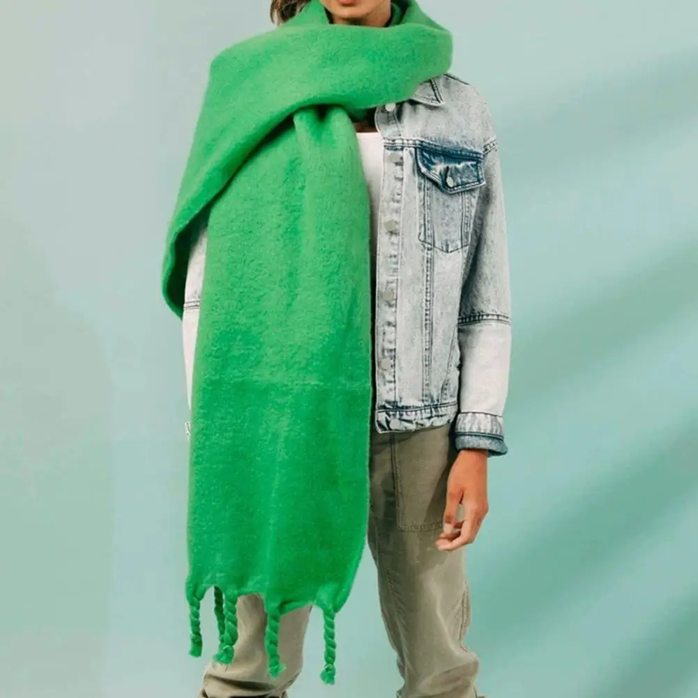 

Women Scarf Cozy Winter Scarf Stylish Twisted Tassel Design Thick Warm Neck Protection Windproof Long Lady Shawl Faux Cashmere