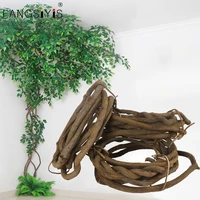 300-500CM Long Alive Tree Branches Rattan Green Leaf Flower Decoration Wall Ceiling Shape Real Vine Branch Wet Tree Vine Setting