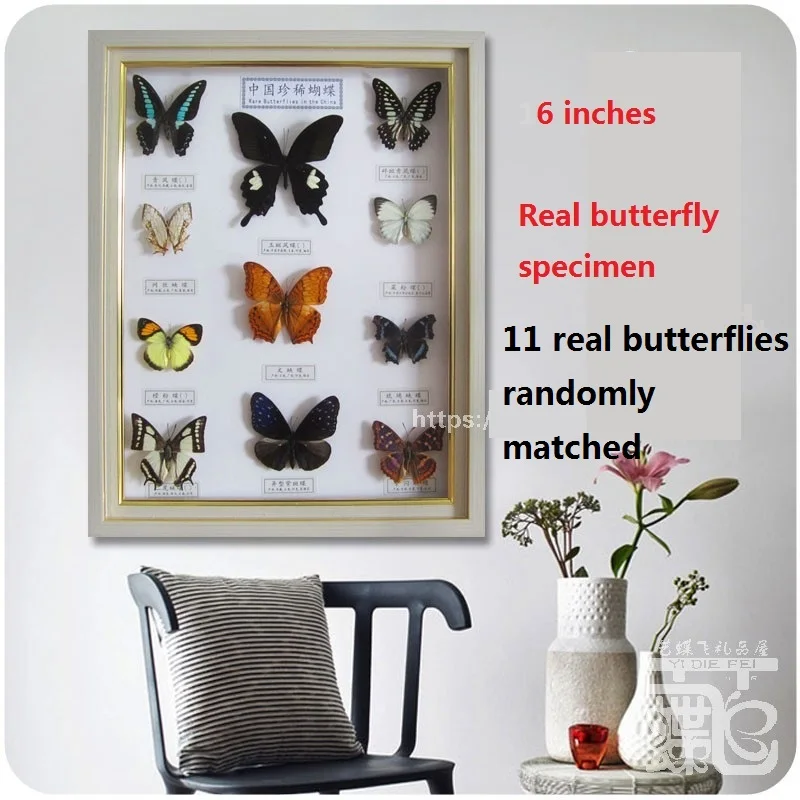 

16Inch New real butterfly specimen photo frame craft decoration independent insect wall painting collection birthday gift