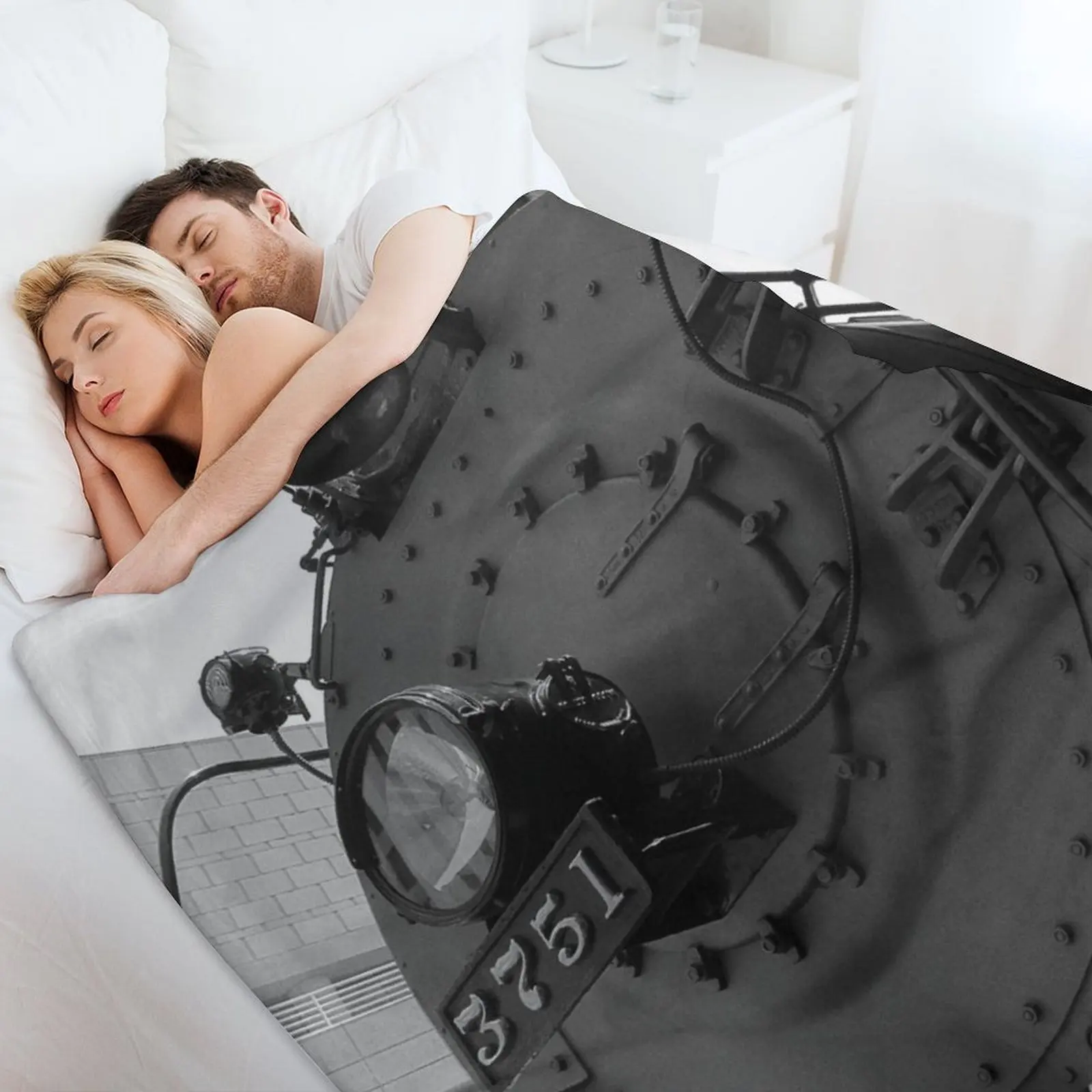 Паровой двигатель 3751 одеяло Hairys для декоративных диванов