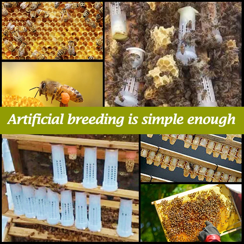 80 шт. Пластиковые Клетки для вывода пчелиных маток