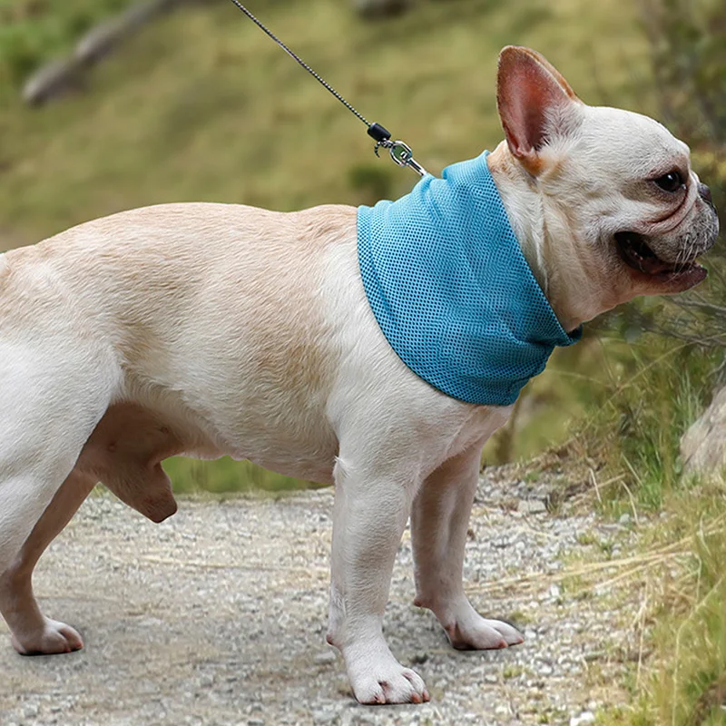 

Летний шарф-ошейник для собак