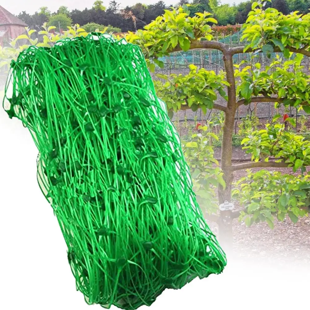 

New Plant Trellis Netting Pea Netting Green Garden Netting Trellis Net for Bean Fruits Vegetables Climbing Plants Climbing