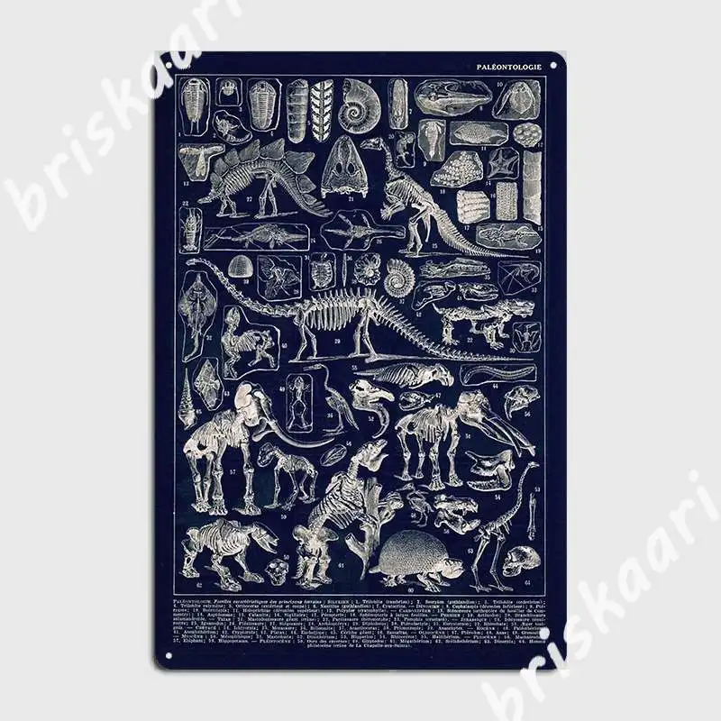 

Adolphe Millot Paleontologie Paleontology Vintage French Poster Metal Sign Wall Designing Plaques Tin Sign Posters