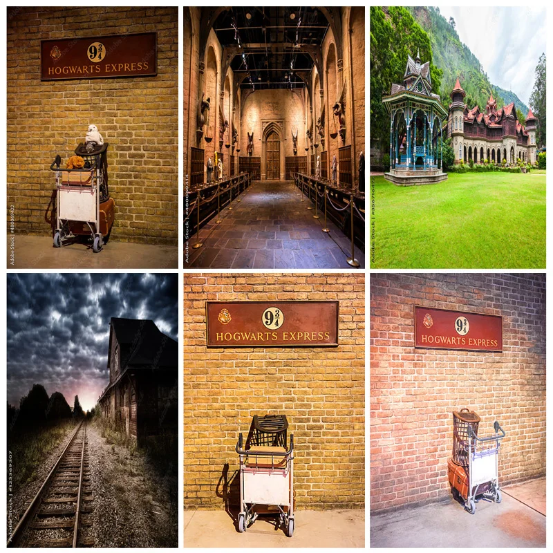 

SHUOZHIKE Art Fabric Castle Broom Photography Background Heaven Magic School Photo Studio Backdrops Photocall HL-03