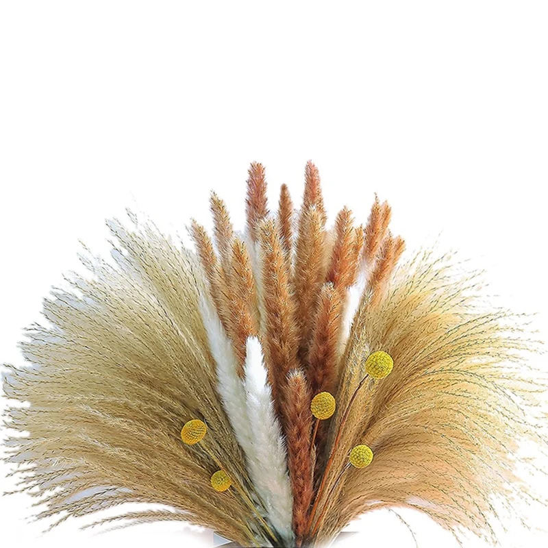 

Сушеная пампасная трава 65 шт., естественная фотография для домашнего декора, свадьба в стиле бохо, вечеринка, фотография (17 дюймов)