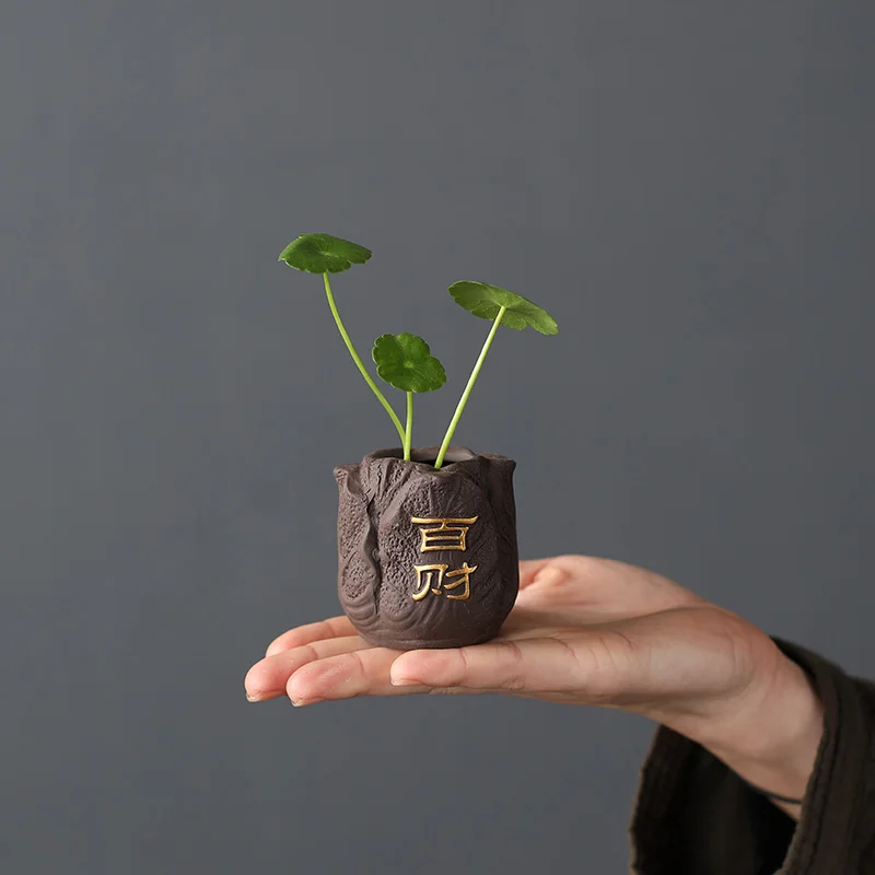Фото Creative Purple Clay Tea Pet Fingertip Mini Flower Pot Hydroponic Plants Garden Bonsai Ornaments Boutique Tea Set Decoration №2