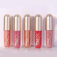 2 5ml liquid lipstick delicate fine texture portable makeup cosmetics lip gloss for girls lipstick lip glaze