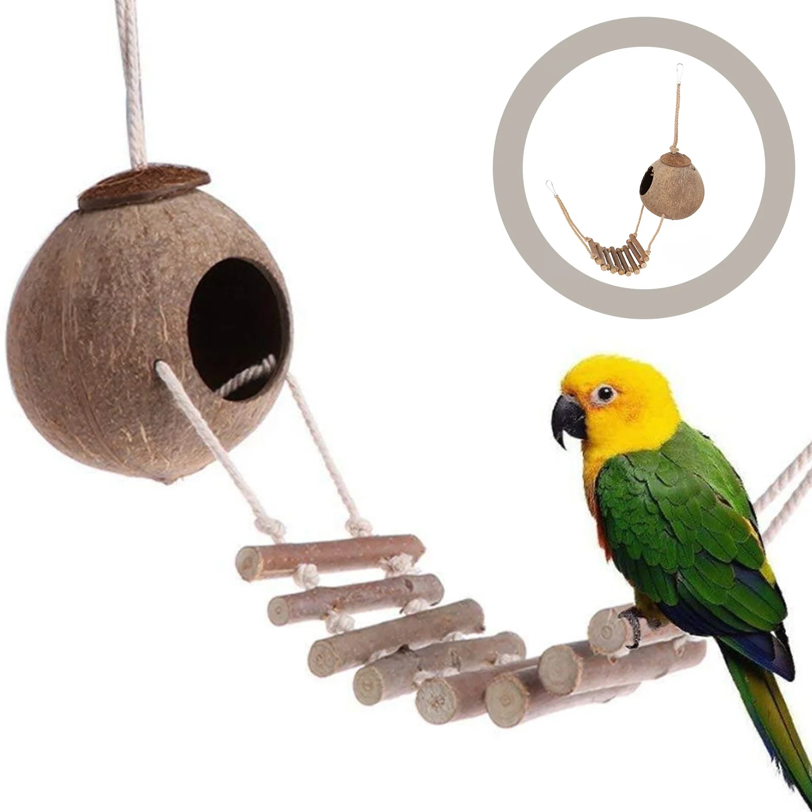 

Box Reptile Terrarium Decor Scene Layout Prop Ornament Hide Cave Small Pets Hideout Cockatiel Food