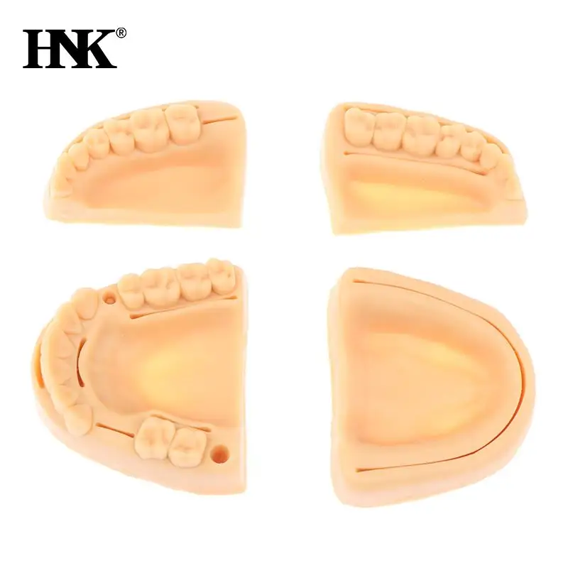 

4Pcs/Set Dental Simulation Oral Suture Training Model Gum Suture Gingival Periodontitis Teaching Training Equipment