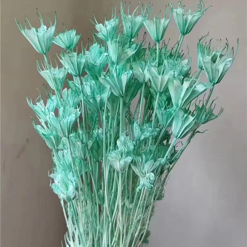 Очаровательный цветок аниса. Натуральные сушеные цветы: идеально подходят для