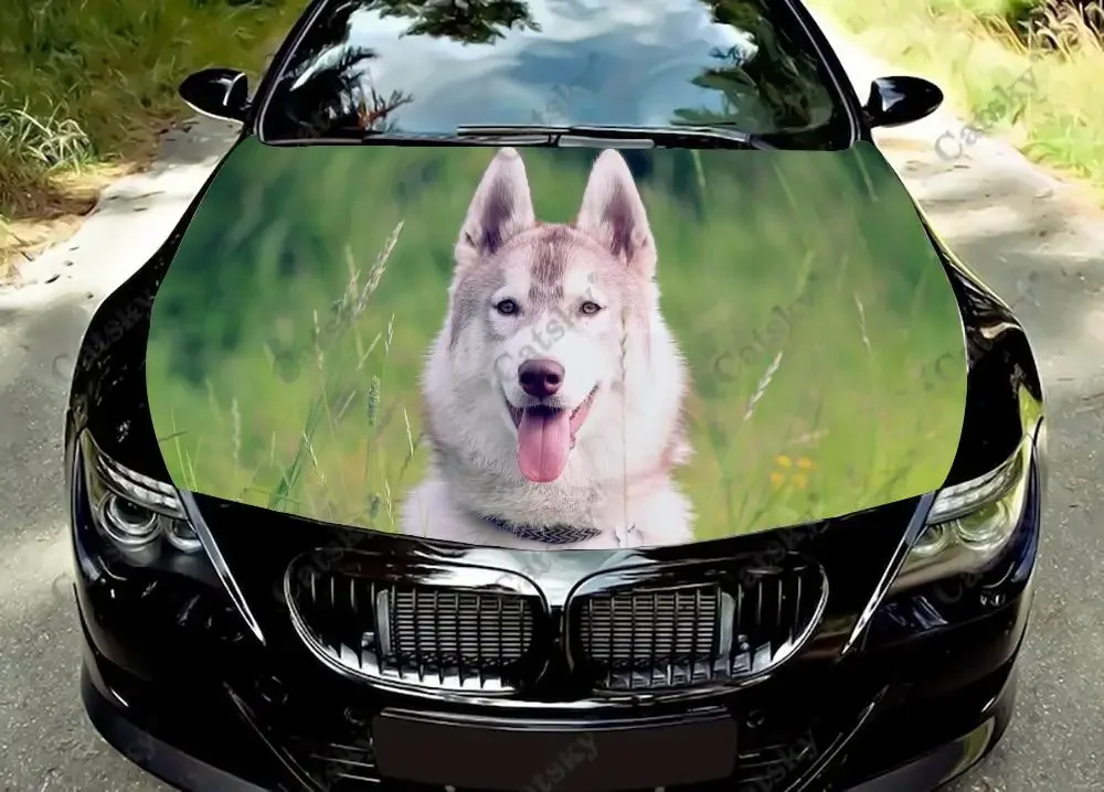Виниловая наклейка на капот автомобиля Greture Husky Dog крышку двигателя автомобильные
