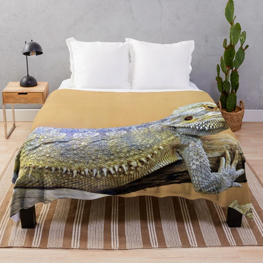 

Красивое Одеяло из древнего времени