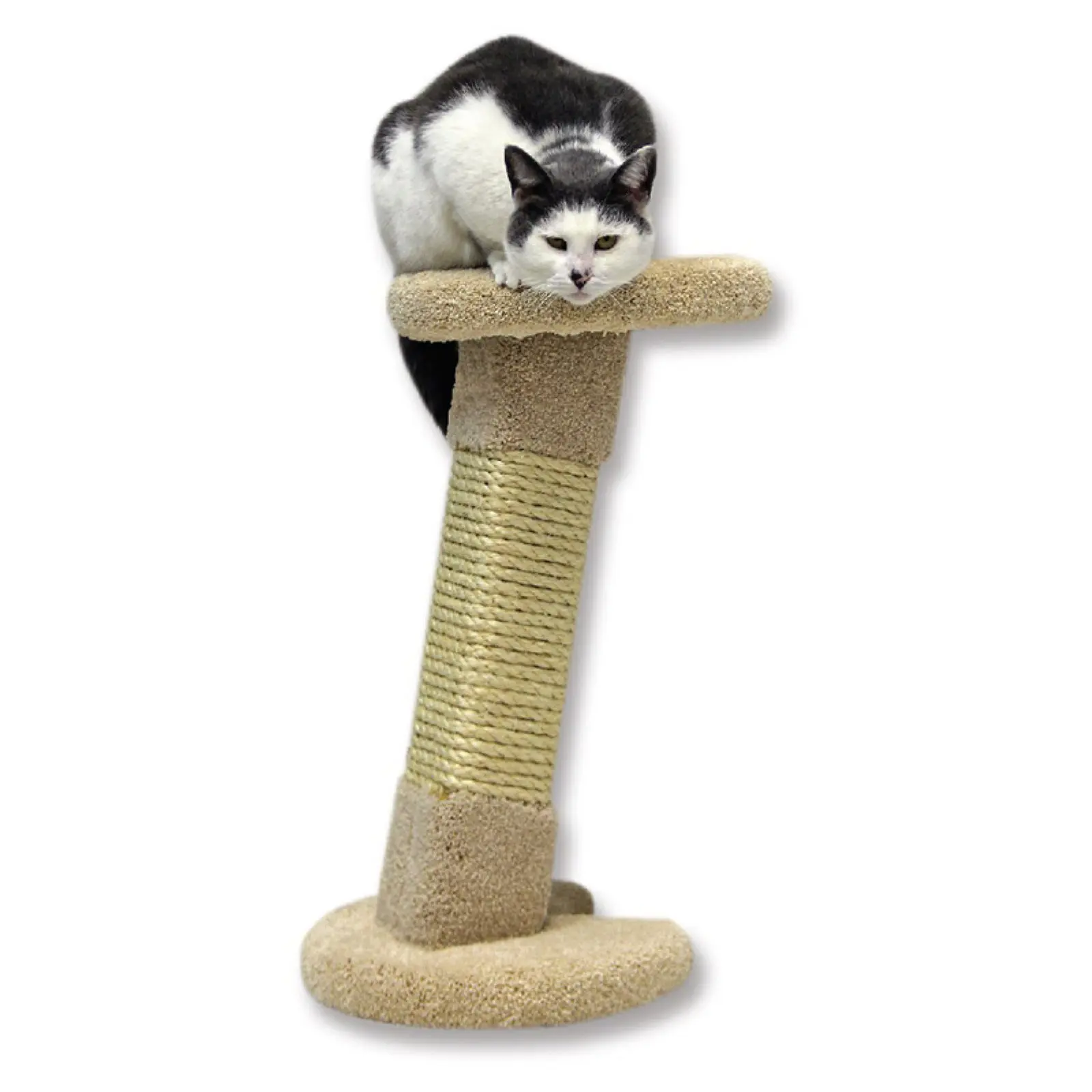 

Corner Cat Scratching Post