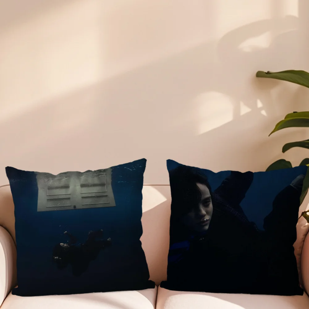 Наволочка Singer E-Eilish для дивана спальни гостиной офиса прикроватная тумбочка B-BillieS