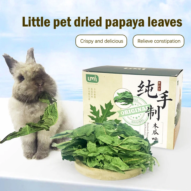 

30g Rabbit Molar Papaya Leaf Pet Hamsters Chinchillas Guinea Pig Healthy Food Snacks Cleaning Teeth Treat Molar Chew Toy