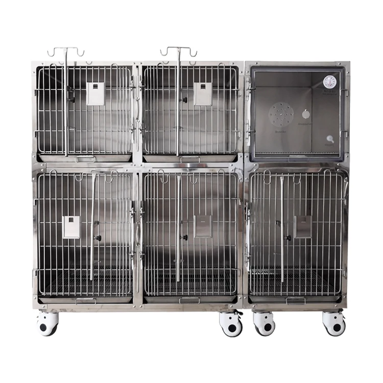 

Veterinary Animal Cages Stainless Steel Pet Cat Display Cage Collapsible Modular Heavy Duty Dog Breeding Kennels