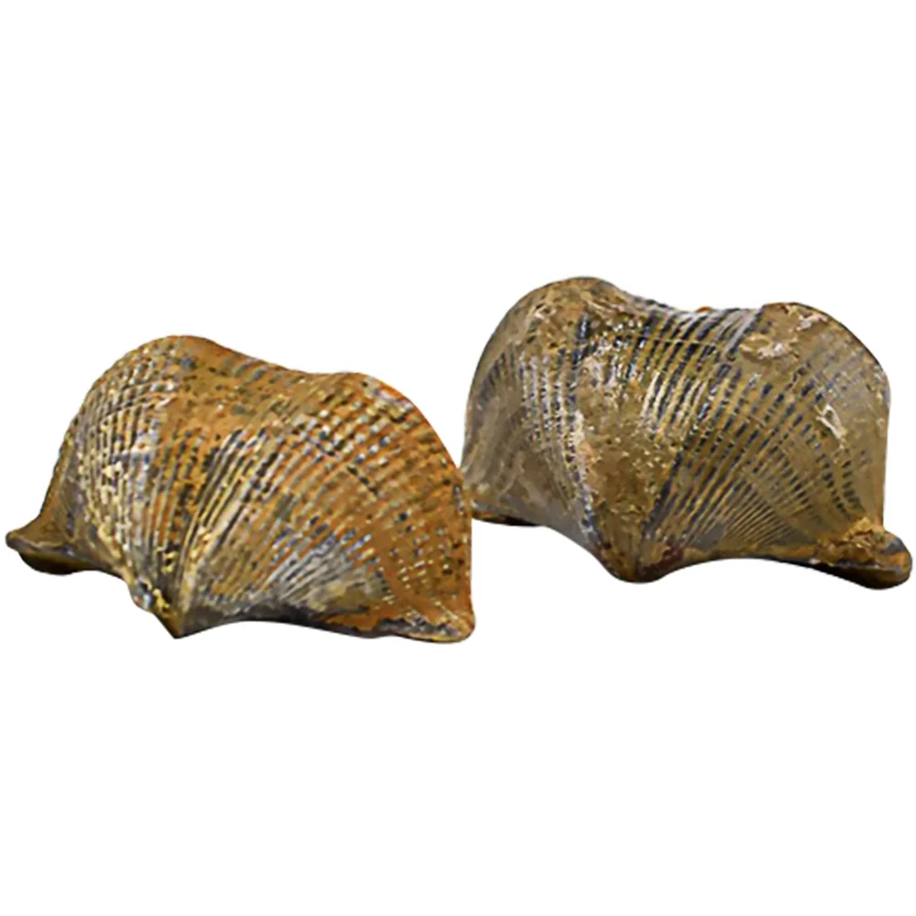 

2Pcs Creative Brachiopod Fossil Student Science Teaching Material Desktop Decor