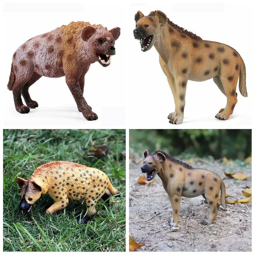 

Toy Science & Nature Simulation Wild Animals Spotted Hyena Model African Aardwolf Figurine Lifelike Wildlife