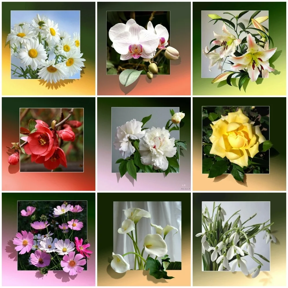 

AZQSD Full Round Drill Diamond Painting Lily Daisy Picture Of Rhinestones Flower Diamond Embroidery Mosaic Decor For Home