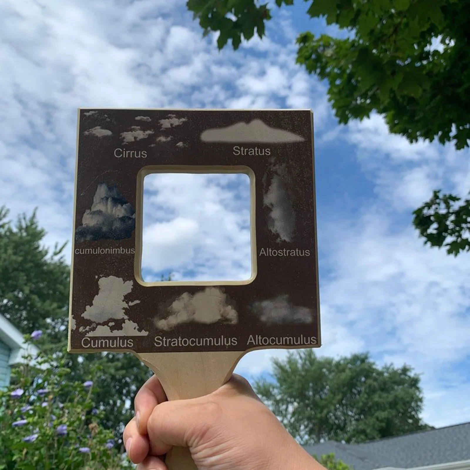 Рисунок 2 - Nature Guide Finder Leaf Finder