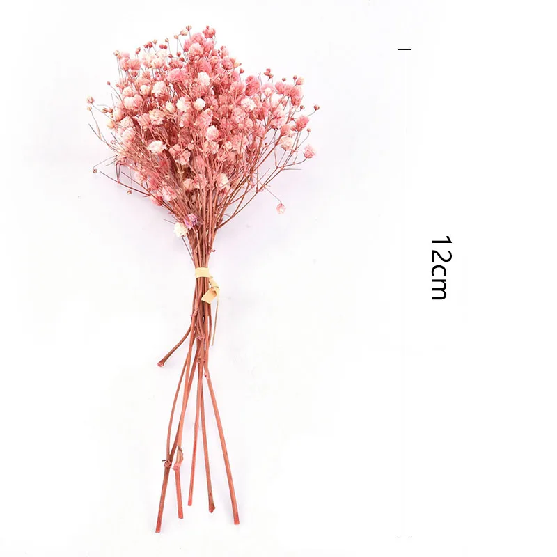Сушеные цветы Mini Gypsophila натуральный цветочный букет из растений Babysbreath Свадебная