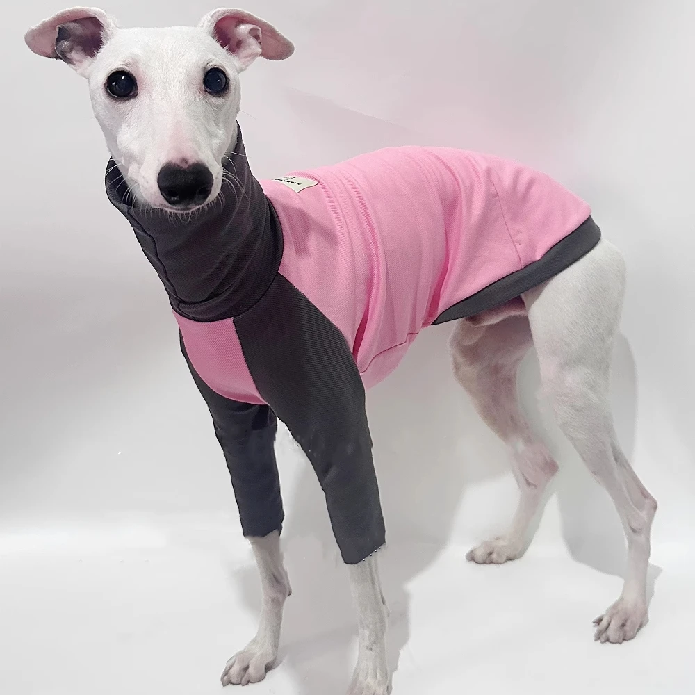 Одежда для собак средней длины весна-лето футболка с высоким воротом борзых