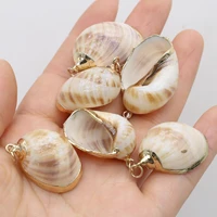 2pc shell conch pendants natural freshwater shell gold edge seashell for jewelry making necklace earrings charms women