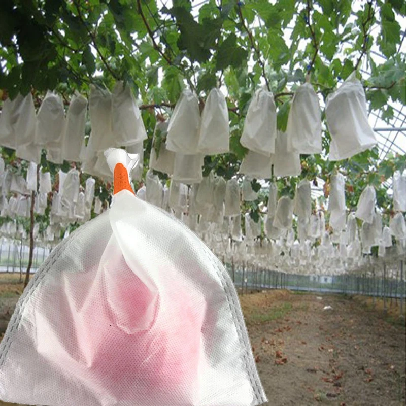 

New-100Pcs Grape Protection Bags Garden Fruit Vegetable Mesh Bag Agricultural Against Insect Pouch Anti-Bird Grape Bags