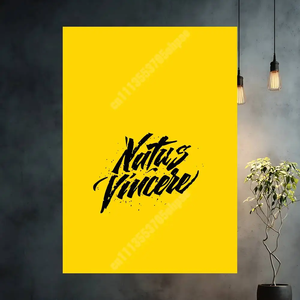Фото Эстетический постер N-Natus Vincere-S N-Navi Born To Win, HD-принты для галереи, настенное искусство для дома, креативный подарок №2