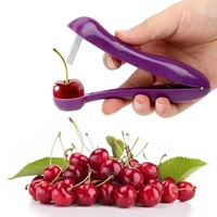 kitchen fruit tools 5 cherry pitter remover olive corer vegetable seed date pits push creative stainless steel household tool