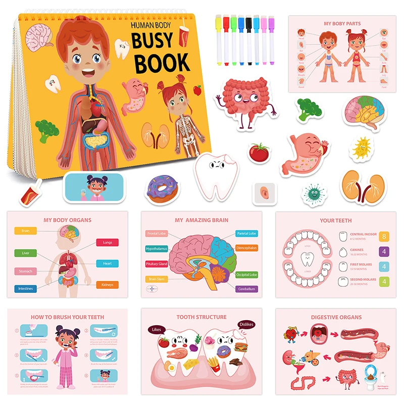 

Children Montessori Human Body Torso Busy Book Paste Quiet Book Cognition Of Body Structure Game Educational Toys for Kids Gifts