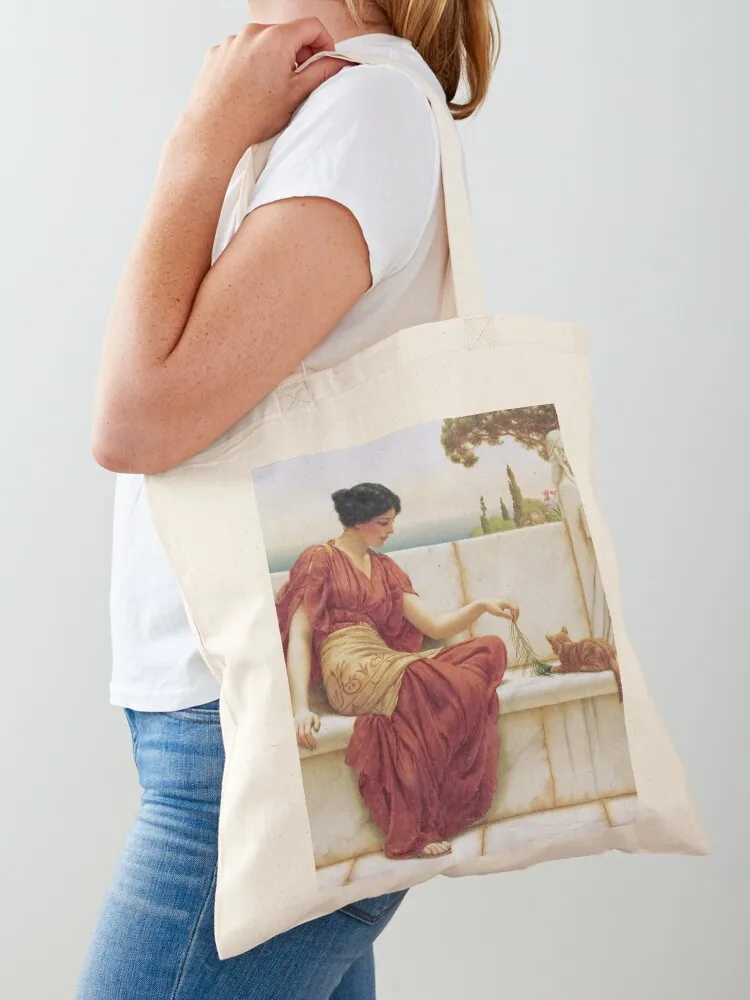 John William Godward - The Favorite Tote Bag женская сумка для покупок Сумка Подарочные пакеты