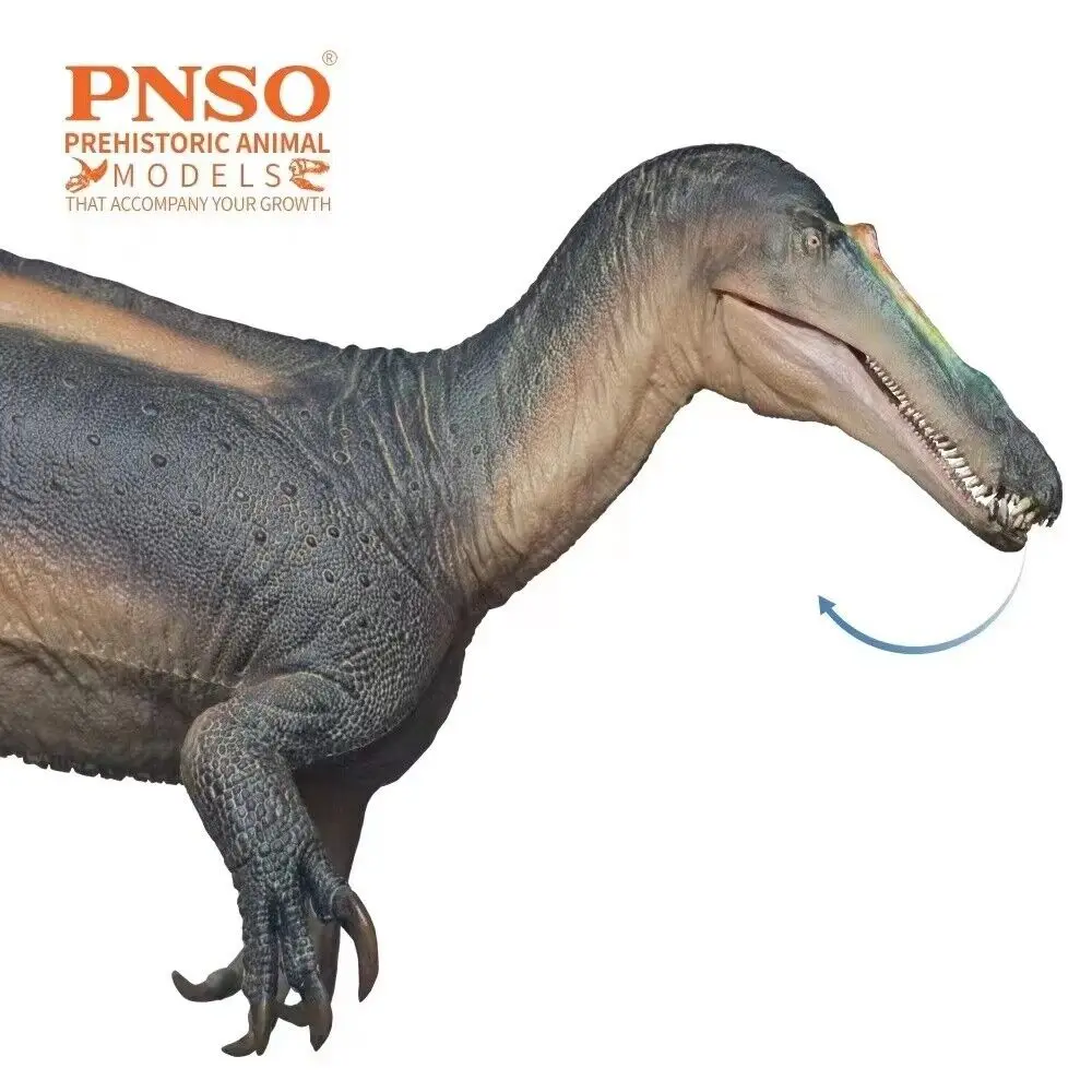 PNSO 67, модель тахомимуса Табо, Доисторический динозавр, фигурки животных, коллекционеры, декорации, научное искусство, образовательные игруш... (art.: 3920bfada3ea5) - 3920bfada3ea5