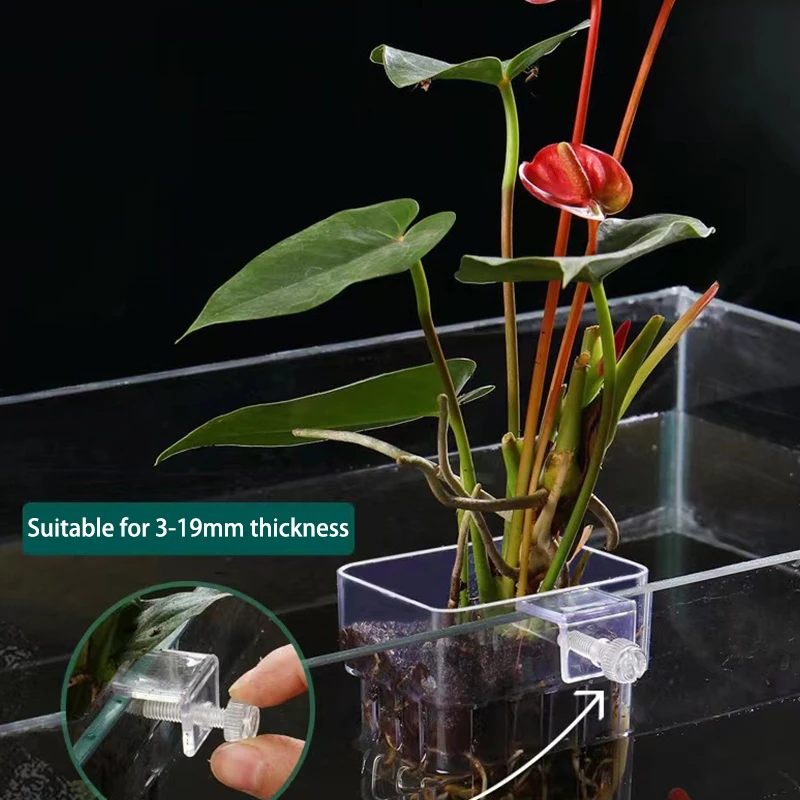 Многофункциональная коробка для изоляции аквариума