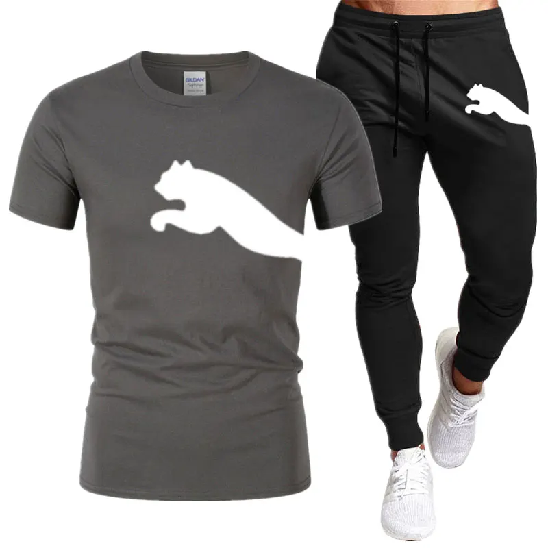 2023 Men's Sets Animal Pattern Lion 3D Printing Long Sleeves T-shirt+Trousers O-Neck Sweatshirt Jogger Sportswear 2 Piece Suit