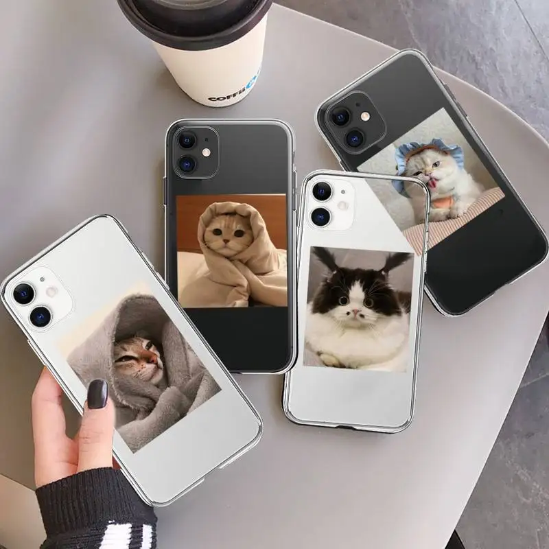 

Cute Cats animal Phone Case Transparent soft For iphone 11 13 12 14 x xs xr pro max mini plus