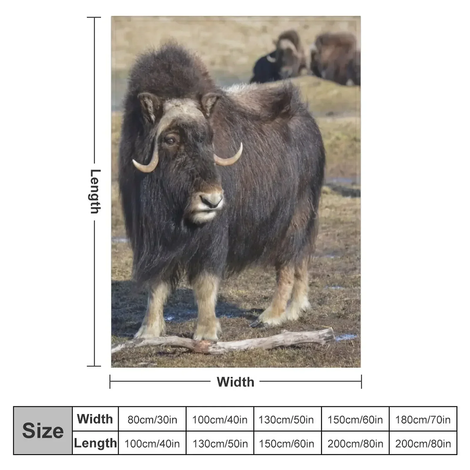 Новое одеяло Arctic Muskox Polar свободные одеяла для дивана-кровати
