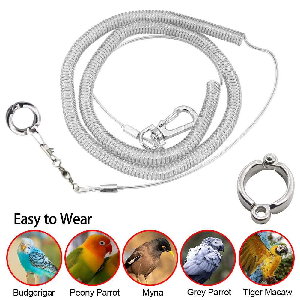 

Ring Harness Training Parrot Flying Anti-bite Kit Stretch Leash With Cockatiel Pet Leg For Rope Bird Starling Anti-bite Length