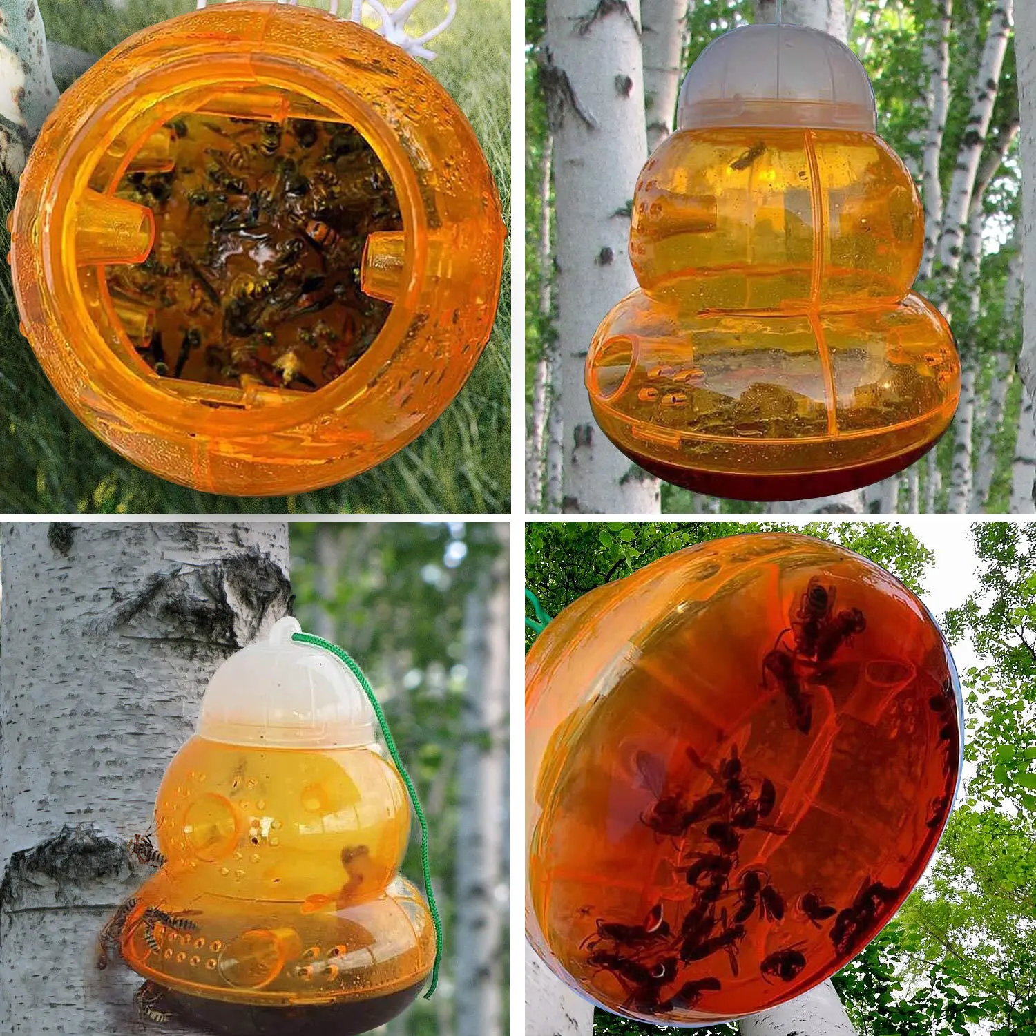 

Wasp Trap Bee Trap Gourd Shape Beekeeping Tools
