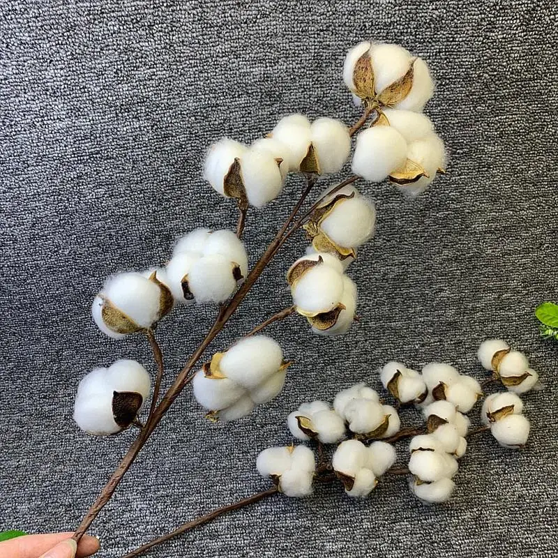 

Natural Dried Flowers Cloud Cotton Flowers Branch Bouquet For DIY Party Wedding Decoration Fake Flower Home Decor