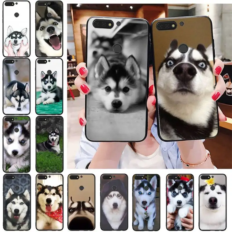 

Alaskan husky dog Phone Case For Huawei Honor 7X 7A 7C 8A 8C 8X 9X 9A 10i 20i 20S 20lite 6A 6C 8A 9S 8S