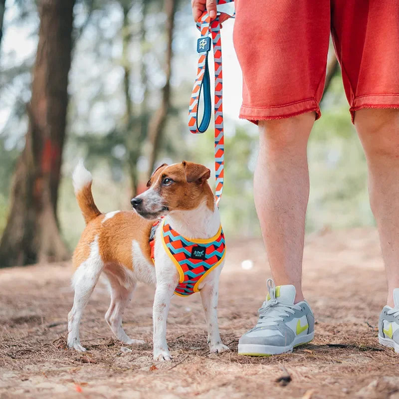 

Fashion Dog Harness with Cute Pattern and Bright Color in Breathable Fabric