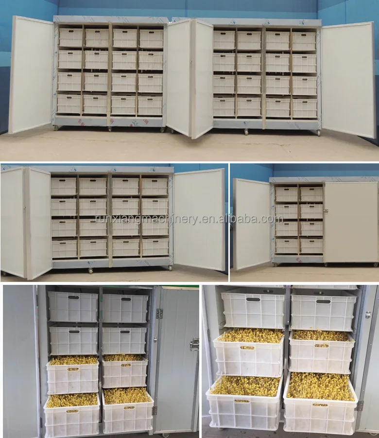 Промышленная машина для выращивания фасоли автоматическая