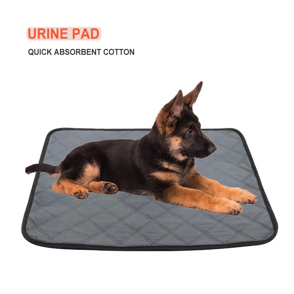 

Absorbent Dog Pee Training Pads 60 x 45cm Flannelette Washable Reusable Antiskid Quick-dry Training Pad for Dogs Puppies Doggie
