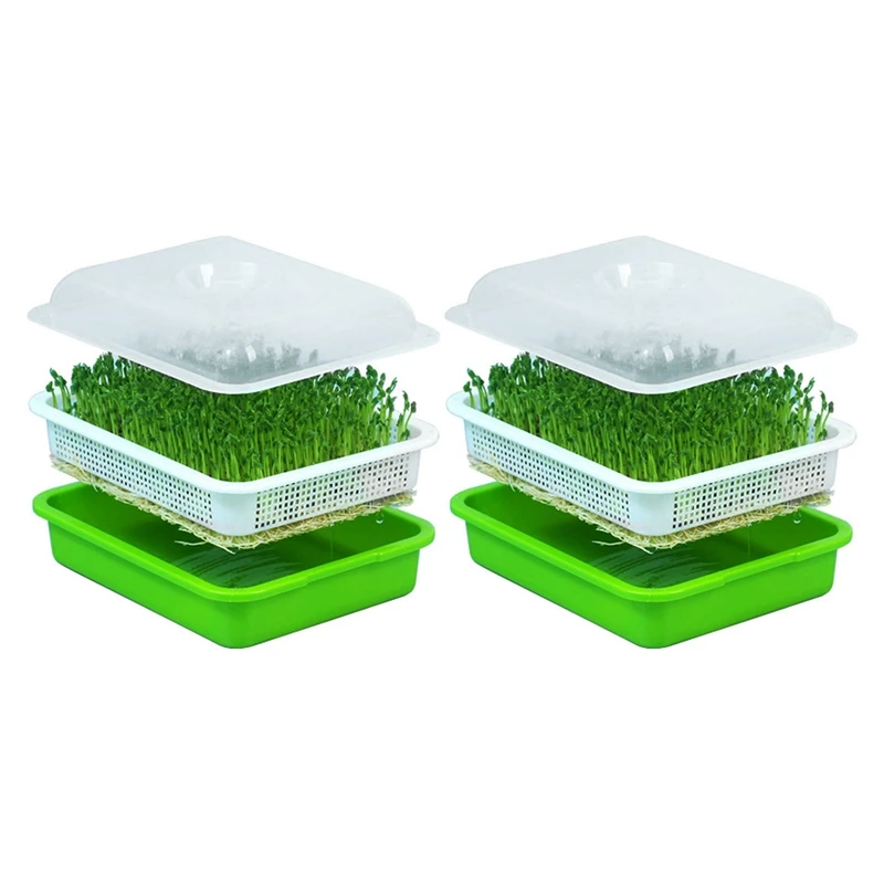 

2X Seed Sprouter Tray With Lid BPA Free Bean Sprout Grower Sprouting Seeds Tray, Dirt Free Way And Big Capacity