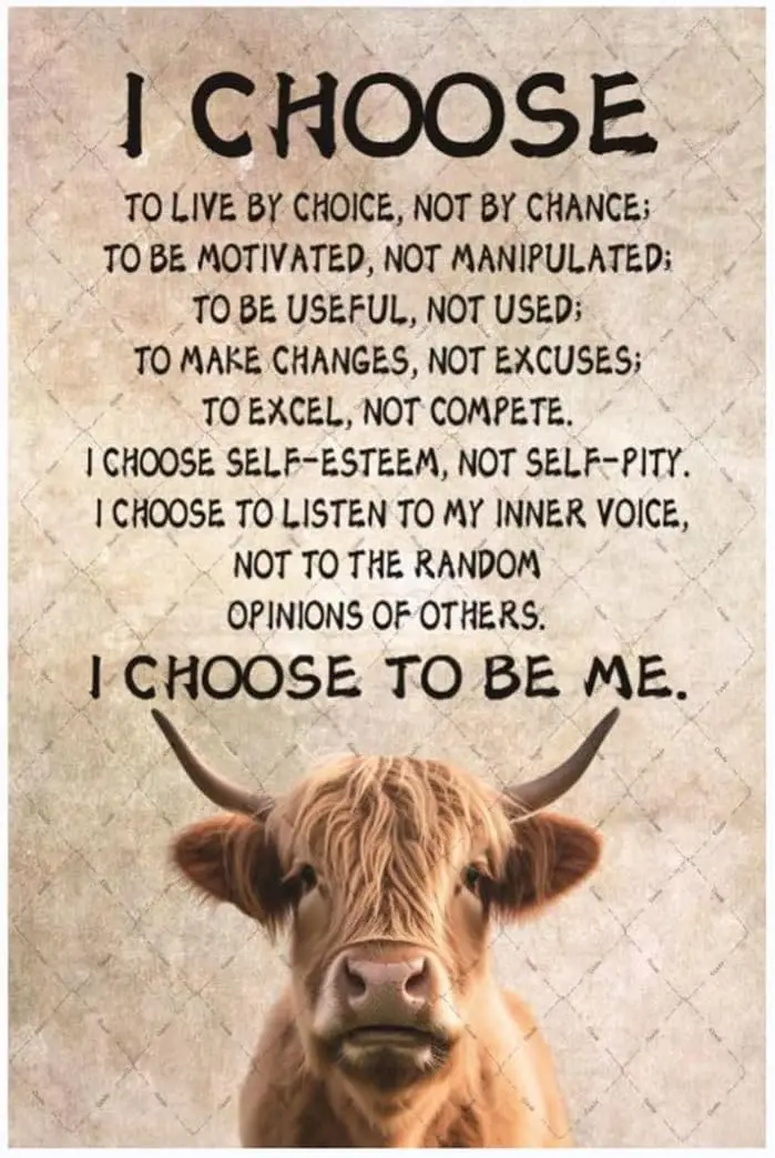 Металлическая жестяная вывеска Cusde Highland Cow I Choose To Be Me Настенный декор