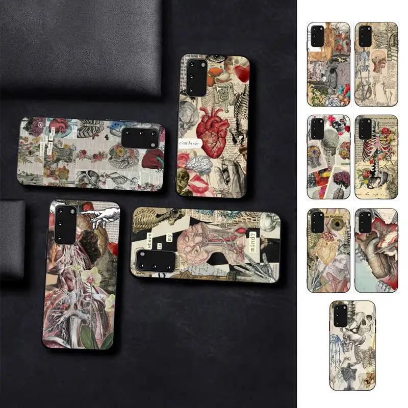 

Medical Human Anatomy Phone Case for Samsung S10 21 20 9 8 plus lite S20 UlTRA 7edge