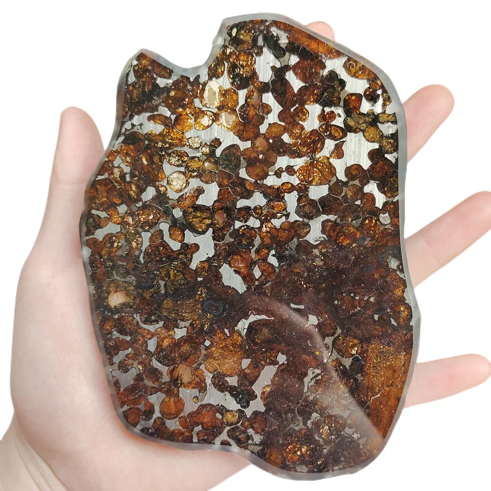 Kenya Olive Meteorite Sericho Оливковый метеорит Срез натурального метеорита Образец